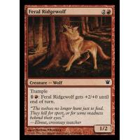 Feral Ridgewolf 