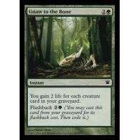Gnaw to the Bone 