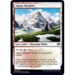 Alpine Meadow