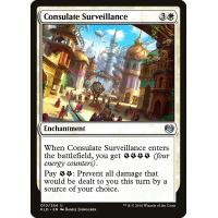 Consulate Surveillance