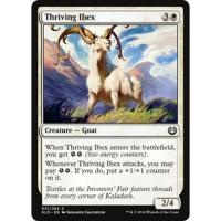 Thriving Ibex