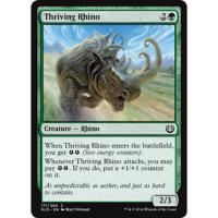 Thriving Rhino