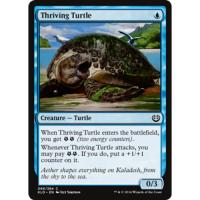 Thriving Turtle