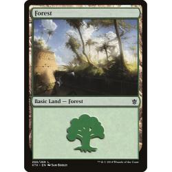 Forest #266