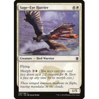 Sage-Eye Harrier 