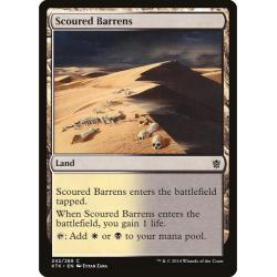 Scoured Barrens 