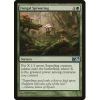 Fungal Sprouting 