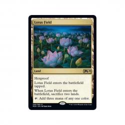 Lotus Field