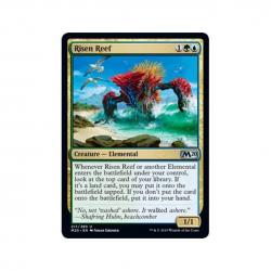 Risen Reef