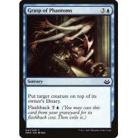 Grasp of Phantoms 