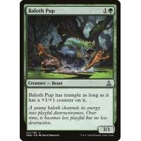 Baloth Pup