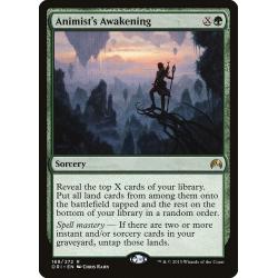 Animist's Awakening 