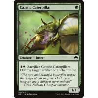 Caustic Caterpillar