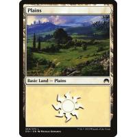 Plains #254