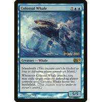 Colossal Whale *Launch Promo*