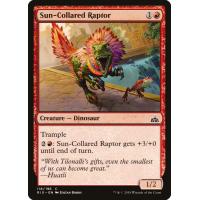 Sun-Collared Raptor