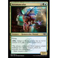 Aeromunculus