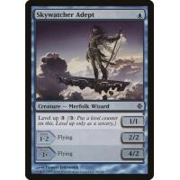 Skywatcher Adept