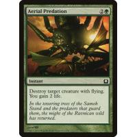 Aerial Predation 