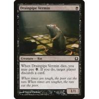 Drainpipe Vermin 