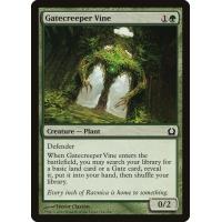 Gatecreeper Vine 