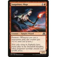 Sanguinary Mage