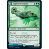 Augmenter Pugilist // Echoing Equation