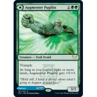 Augmenter Pugilist // Echoing Equation