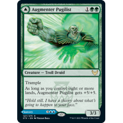 Augmenter Pugilist // Echoing Equation