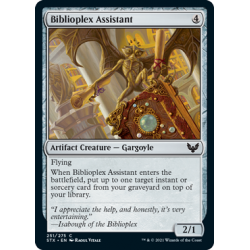 Biblioplex Assistant
