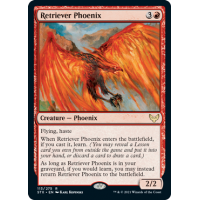 Retriever Phoenix