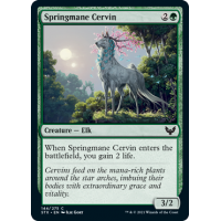 Springmane Cervin