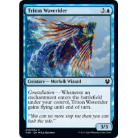 Triton Waverider