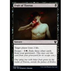 Fruit of Tizerus