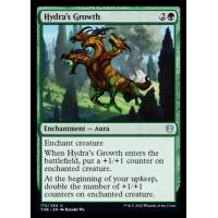 Hydra's Growth