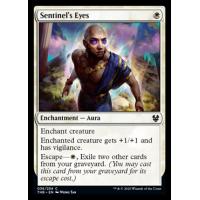Sentinel's Eyes