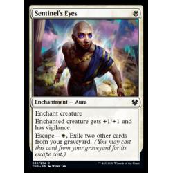 Sentinel's Eyes