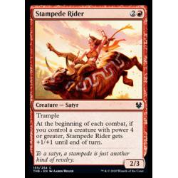 Stampede Rider