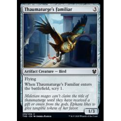 Thaumaturge's Familiar