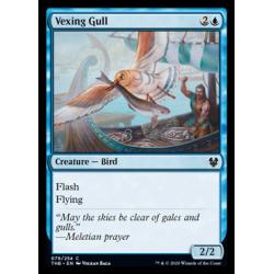 Vexing Gull
