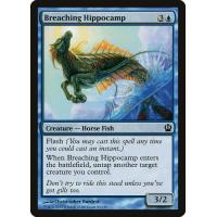 Breaching Hippocamp 