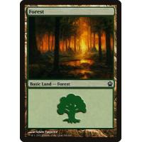 Forest #248