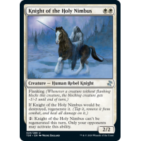 Knight of the Holy Nimbus