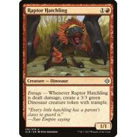 Raptor Hatchling