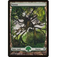 Forest #249 - Full Art