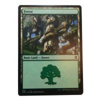 Forest #384