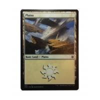 Plains #380