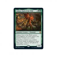 Ashaya, Soul of the Wild