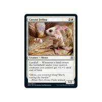 Canyon Jerboa